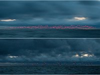 Der Windpark EnBW Baltic 2 genau im Dreiländereck D-S-DK