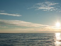 Estland-Anreise-59
