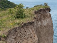 Die Brutplätze der gemeinen Hiddenseer Steilküstenhöhlenschwalbe.