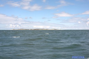 Der Leuchtturm von Amrum.