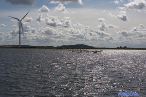 Stellnetze am Limfjord.