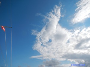 Von Wind zerfetzte Wolken, ganz so schlimm sieht unsere Genua nicht aus.