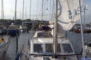 Das Groß zum Trocknen auf halbacht.