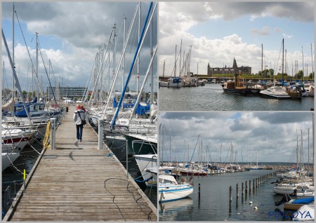 „Der Hafen. Groß und speziell. “