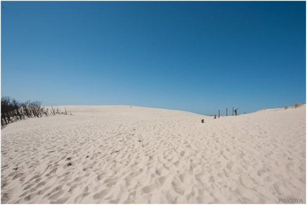 „Die Düne - Sand bis zum Horizont...“