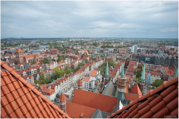 „Ein fantastischer Ausblick über die Dächer der Altstadt.“