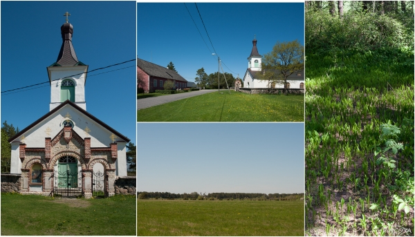 „Die Kirche im Zentrum der Insel. Rechts… der ganze Waldboden ist voll mit Maiglöckchen. In zwei Wochen muss das phantastisch aussehen.“