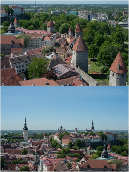 „Der Kern der Altstadt steht auf dem einzigen Hügelchen weit und breit.“