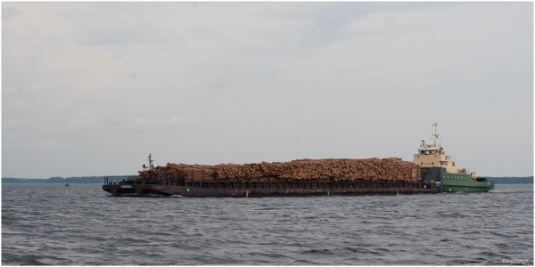 „Hier oben sind mehr Holzfrachter unterwegs als Freizeitskipper“