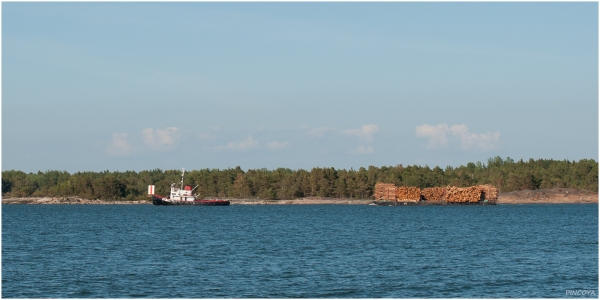 „Auch hier gibt es Holztransporte, nicht nur in Saimaa.“