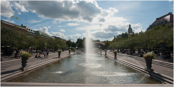 „Der Stadtgarten Kungsträdgården“