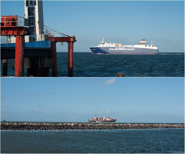 „Auf der Elbe wird fast alles transportiert und 4351 Möwen warten geduldig auf einen Touristen mit Fischbrötchen.“