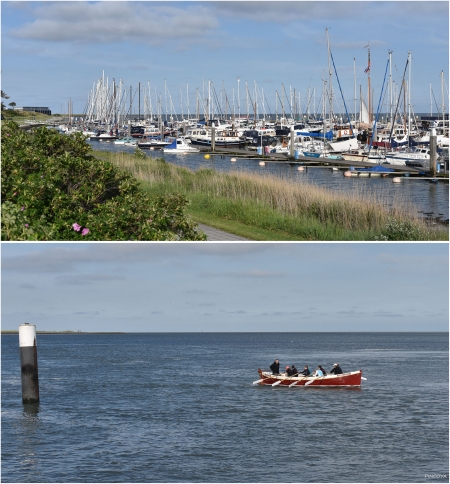 „Terschelling und die Frühsportler.“