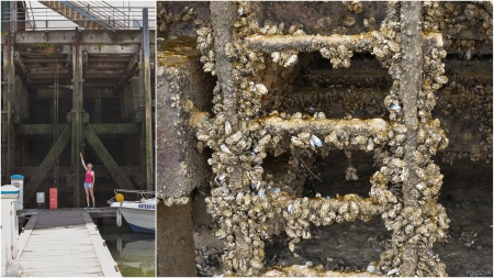 „Der Tidenhub legt auch die Rettungsleiter frei. Die ist aber eher etwas für's Mittagessen.“