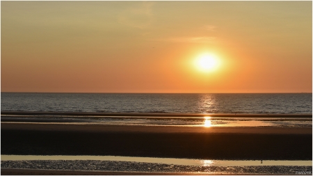 „Zum Sonnenuntergang ist der Strand wie leergefegt, nur eine Möwe ist noch da.“