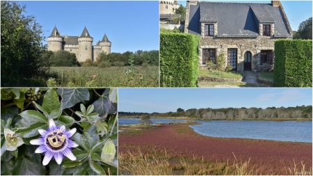 „Das Schloss und das Grüngrün der Natur! Es ist schon fantastisch, was hier einfach so am Wegrand wächst.“