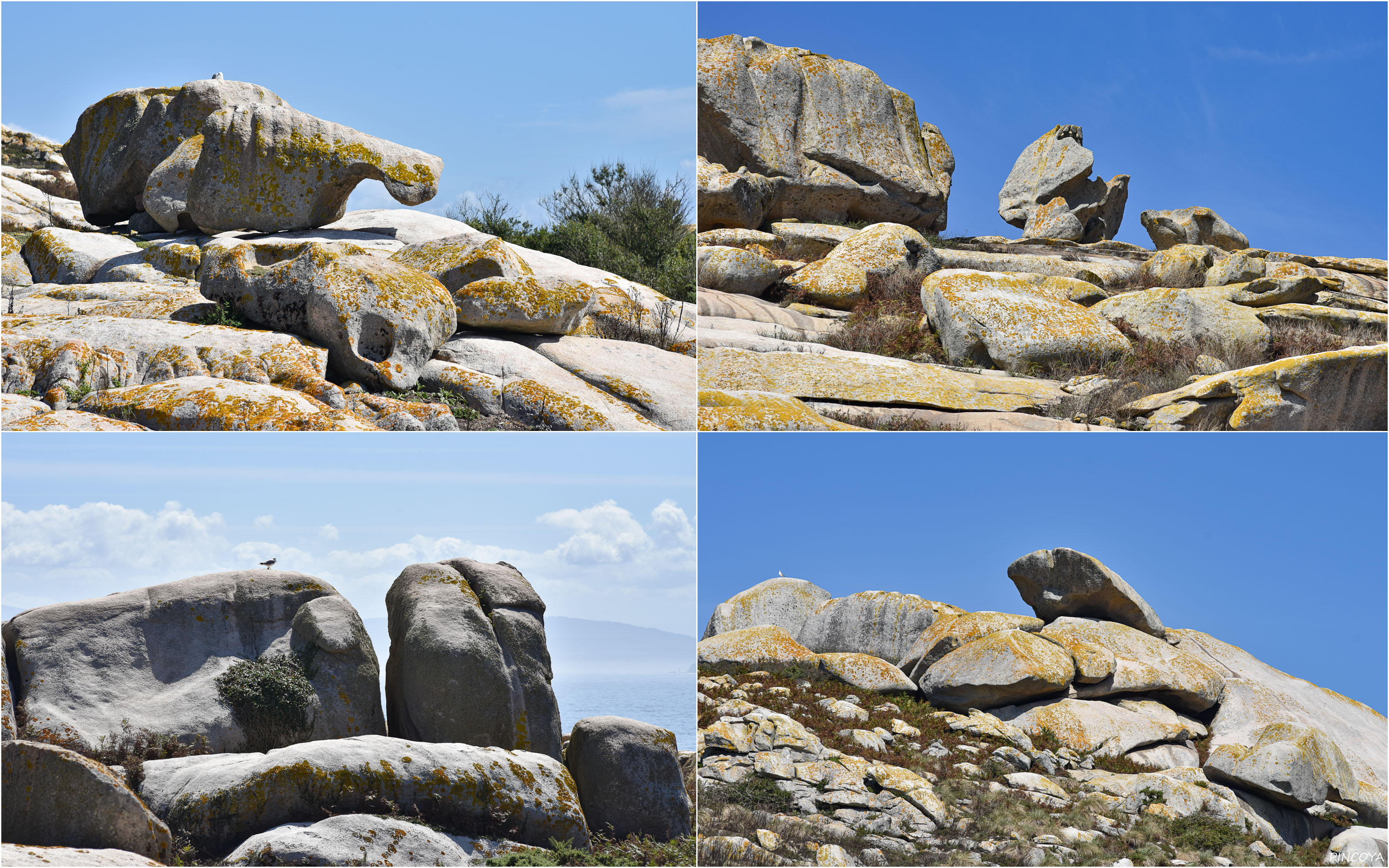 „Ach ja, und auf der Isla Sálvora gibt es auch tolle Felsen!“