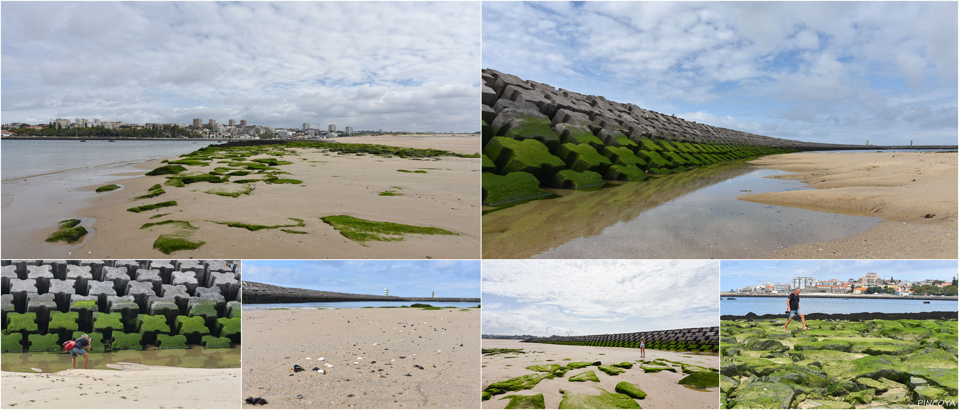 „Perspektiven am Breakwater“