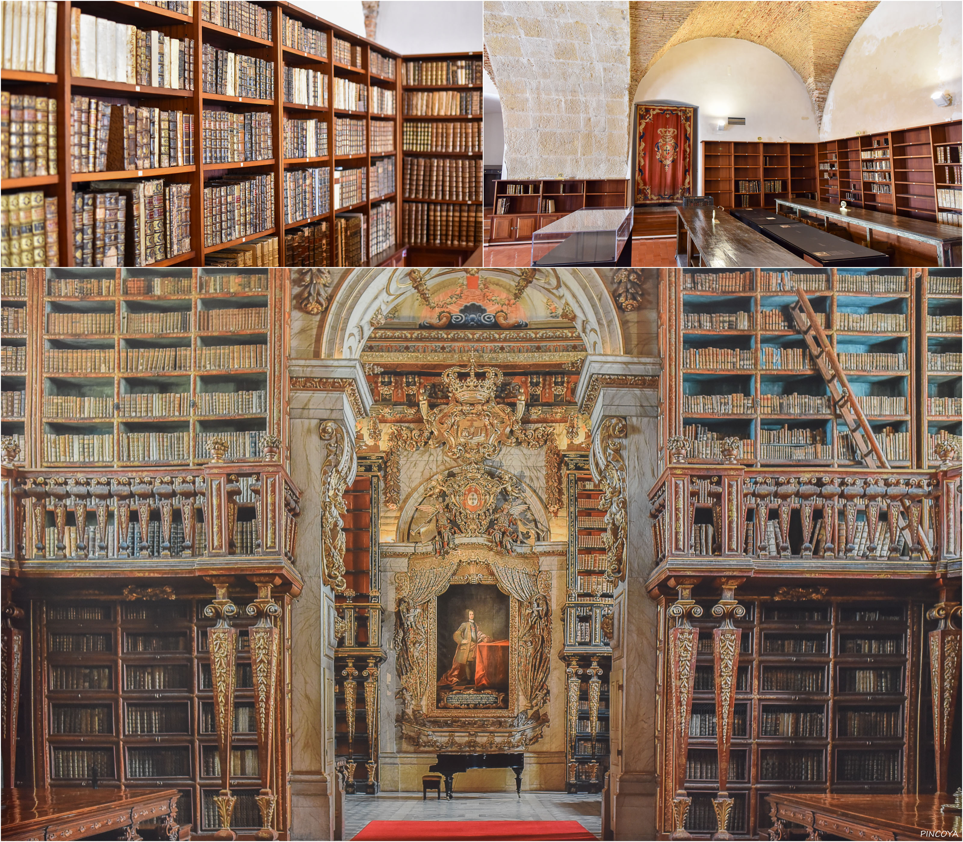 „Unten die Joanina Bibliothek (abphotographiert von einer Phototapete ?)“