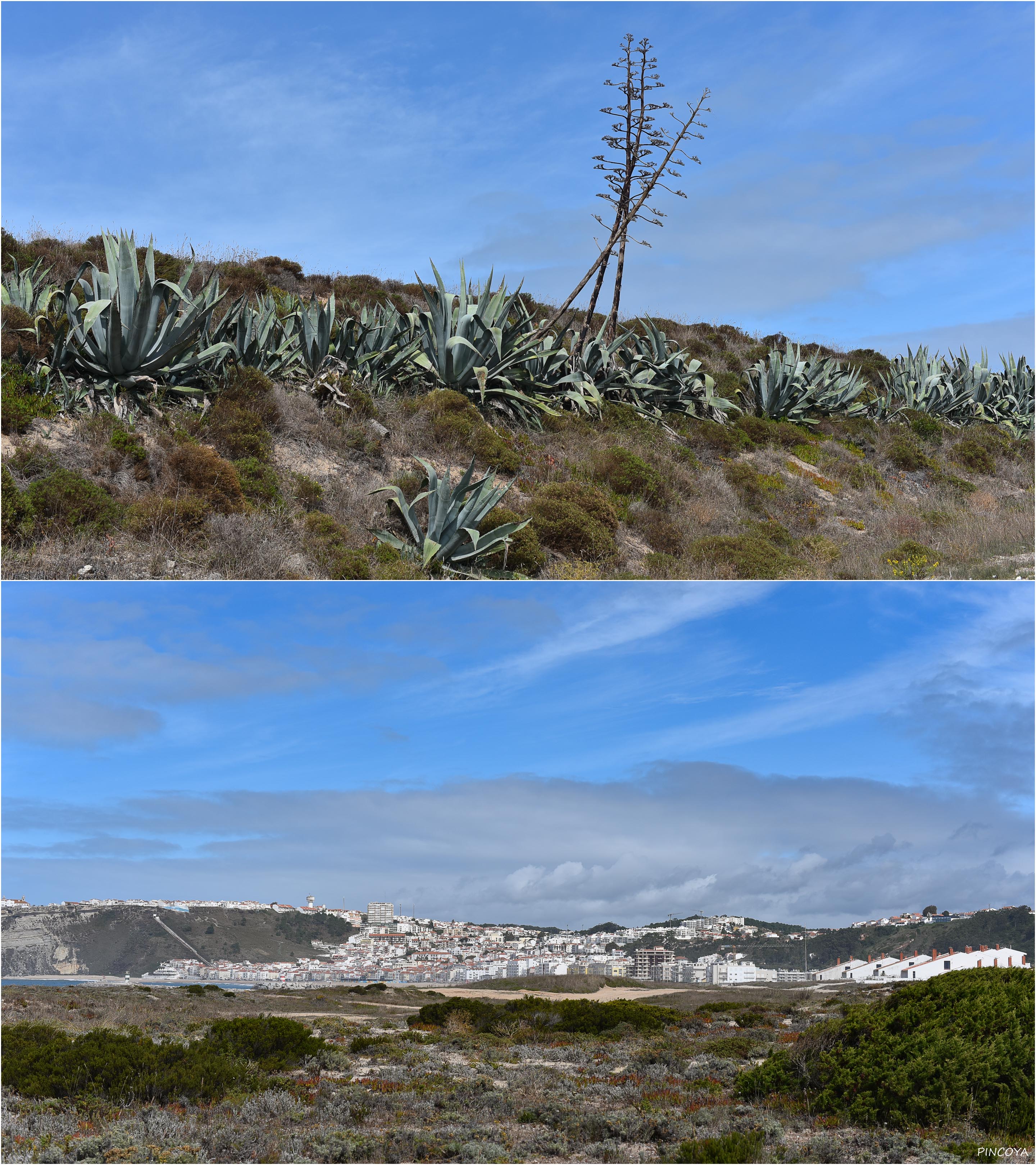 „auf dem Weg zum Südstrand von Nazaré“