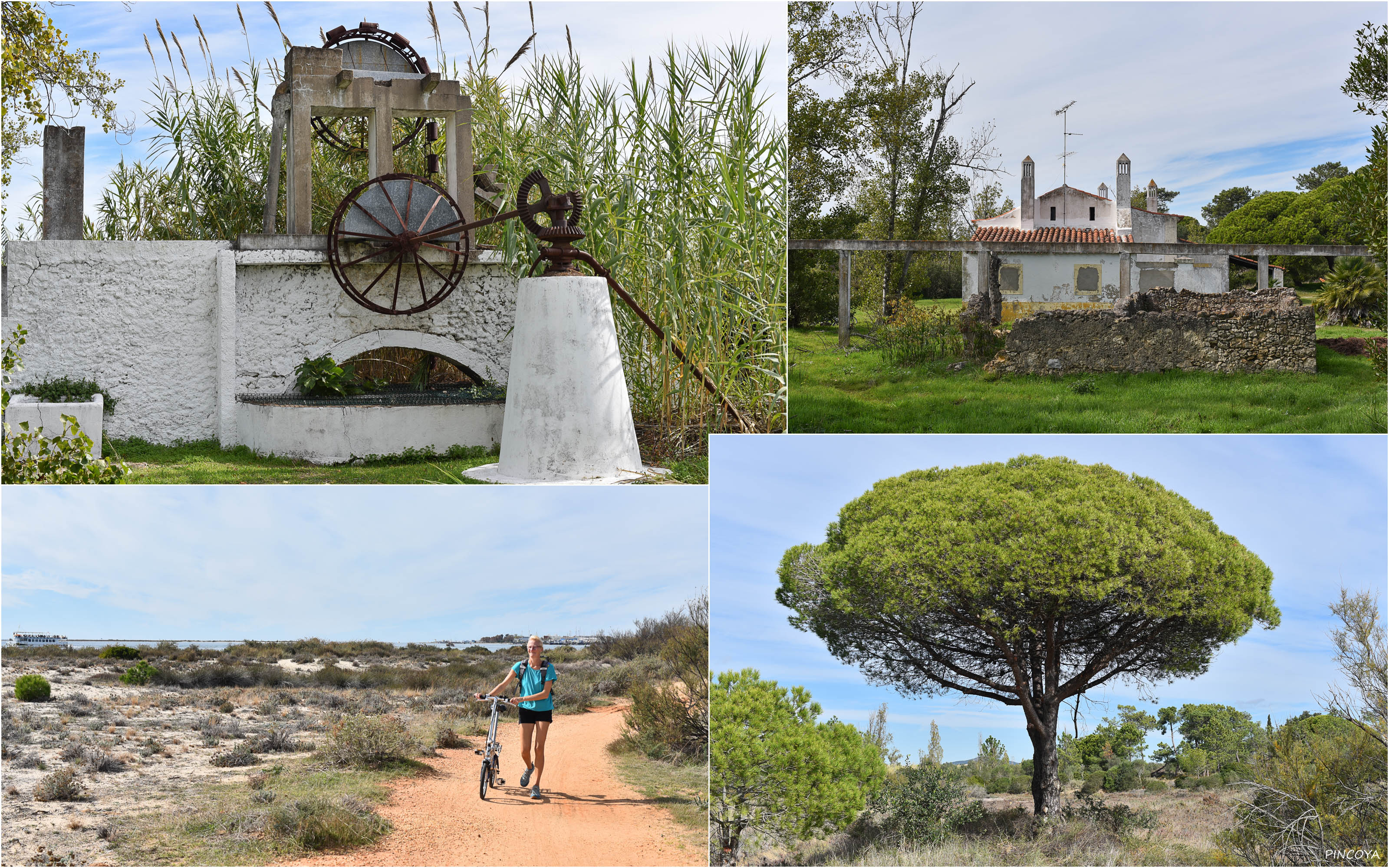 „Der Brunnen und im Naturpark“