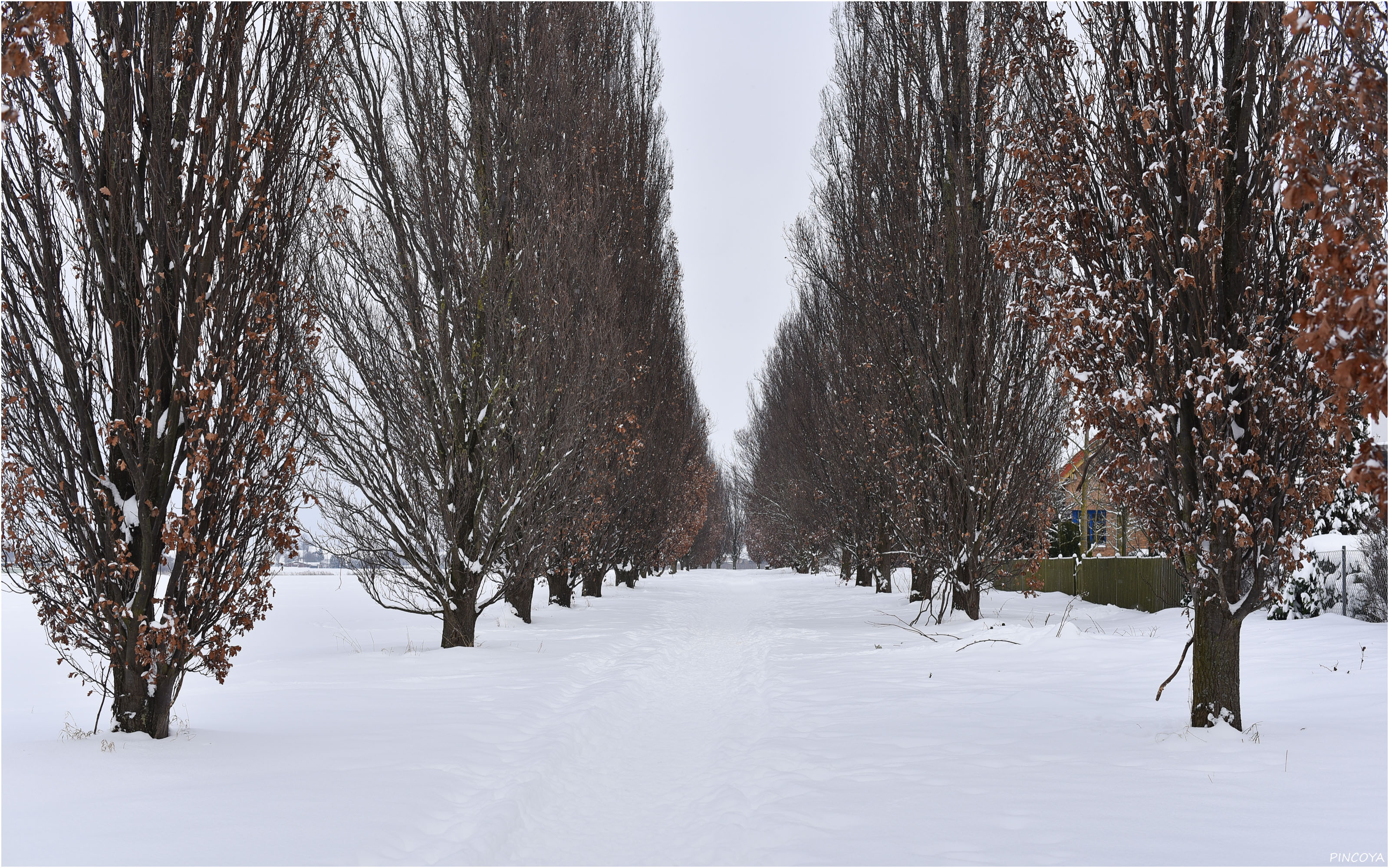 „Und es schneit und schneit und schneit...“