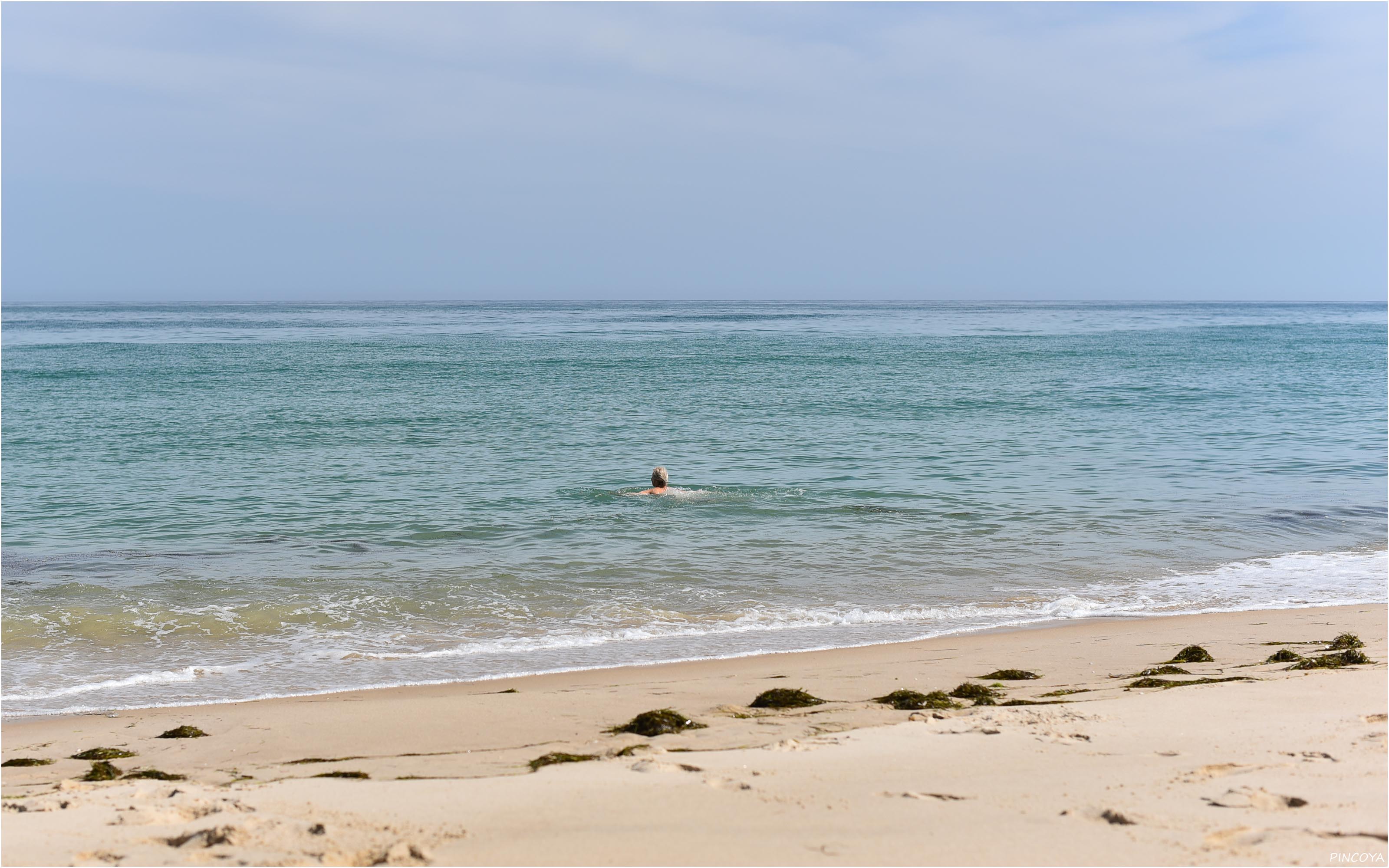 „Schwimmerchen auf der Seeseite“