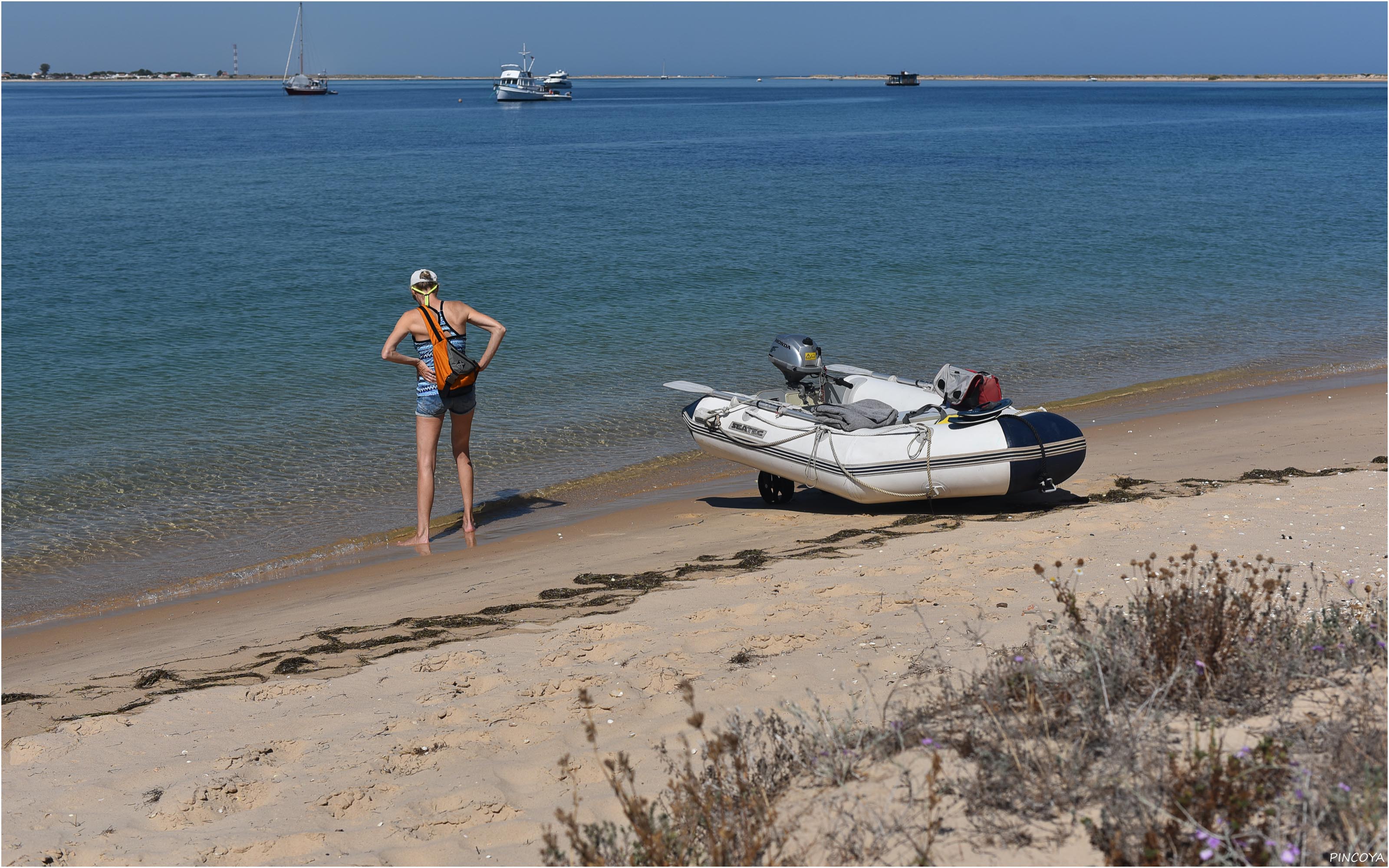 „Seit den Krebsen 🦀 in Punta Umbria 😳 inspiziert die Capitana den Strand besonders gründlich 🤨, bevor es ins Wasser gehen kann 🏊‍♀.“