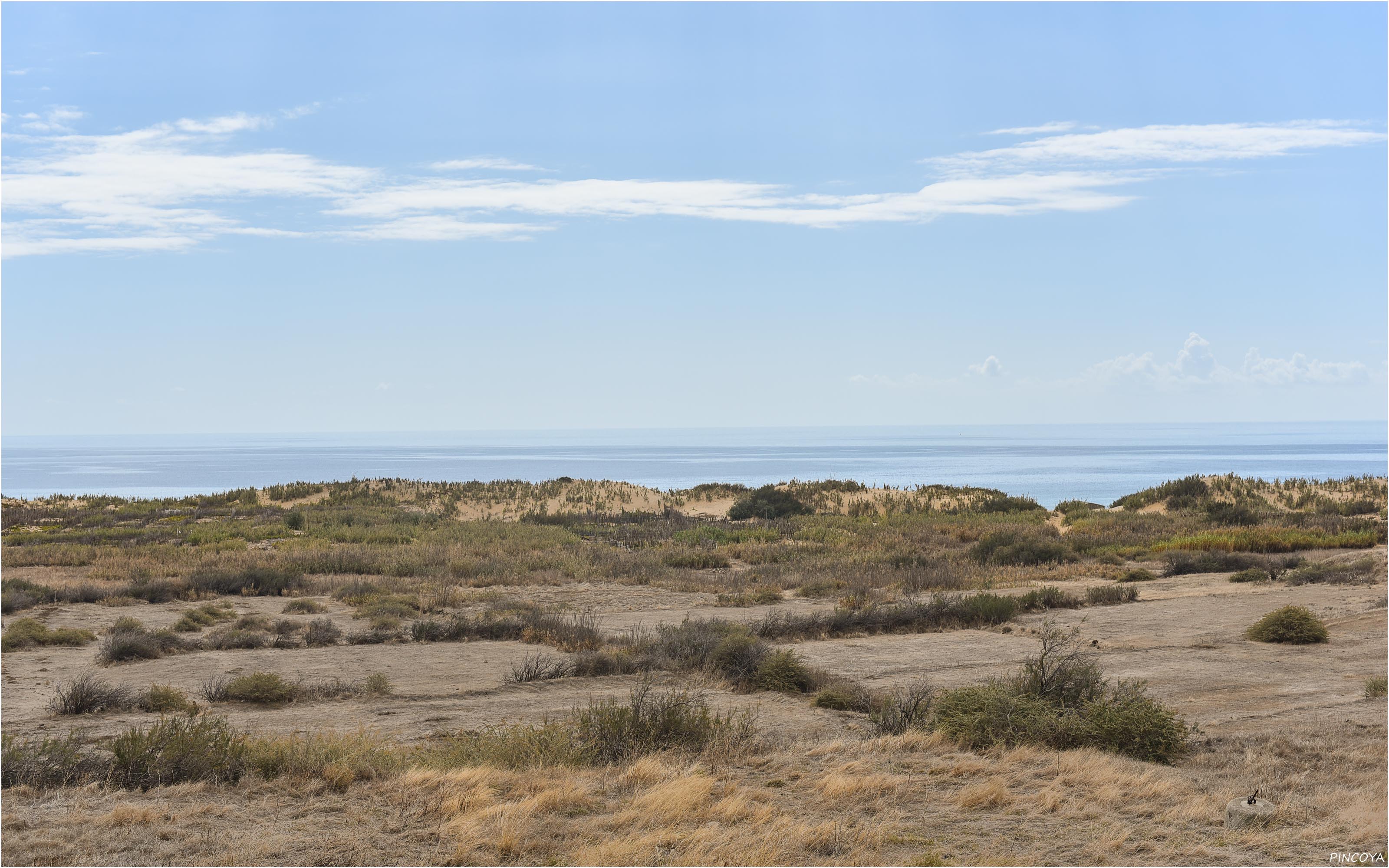 „Die westliche Dünenlandschaft“