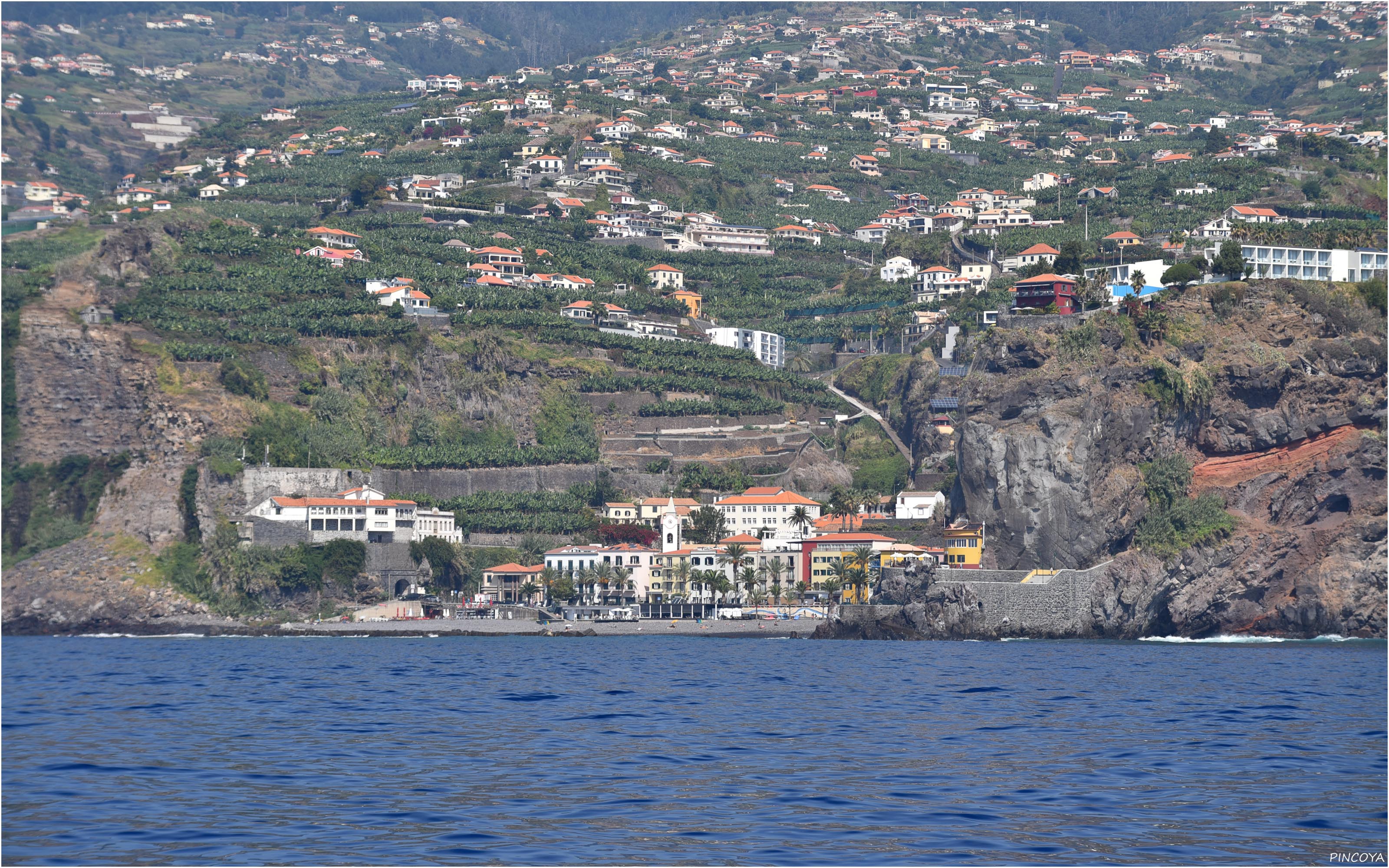 „Ribeira Brava“