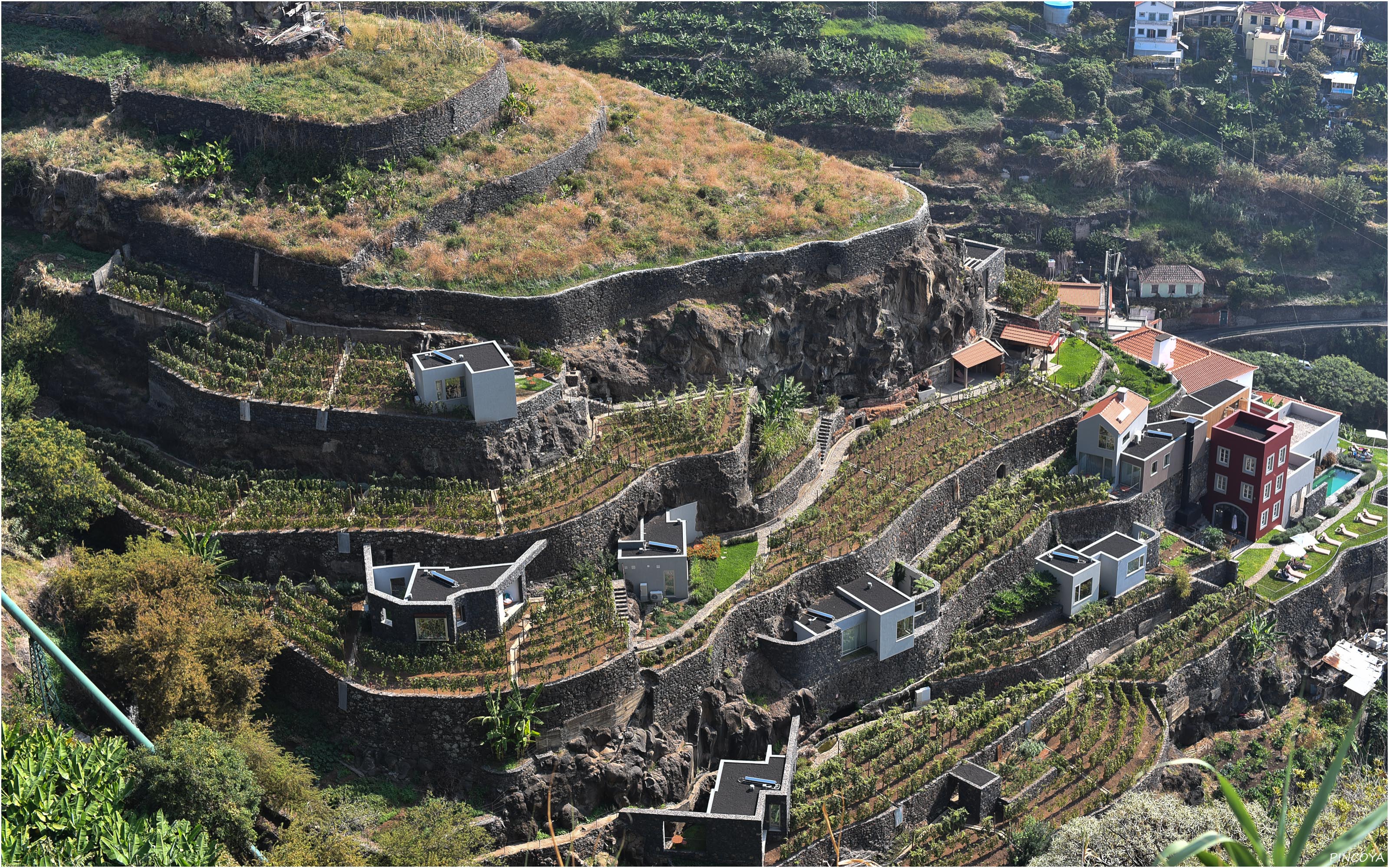 „Kein Weinbau, dies ist ein Hotel mit Weingarten. Das Nature Hotel in Calheta. Einmalig.“