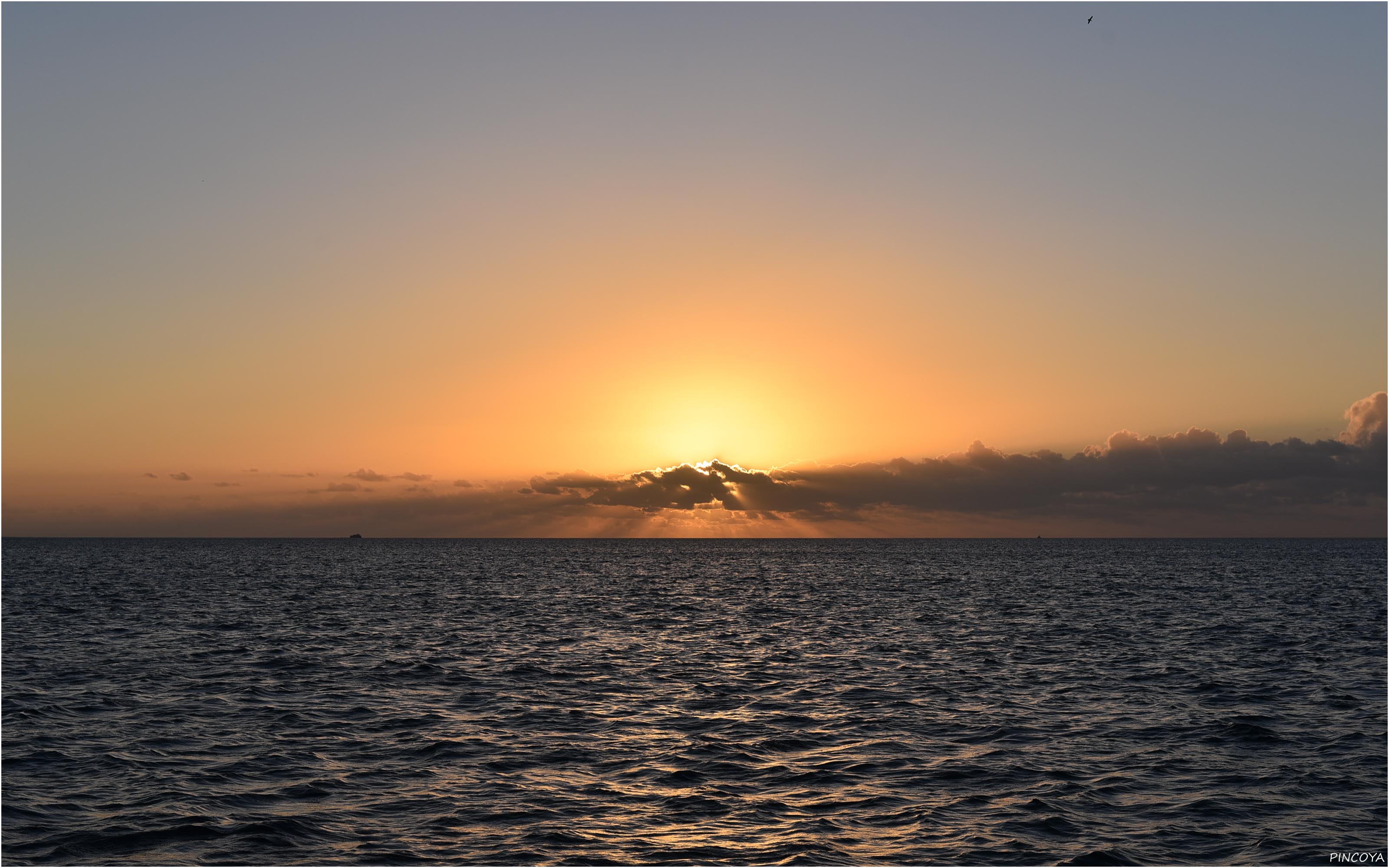 „Vor der Costa de Papagayo III“