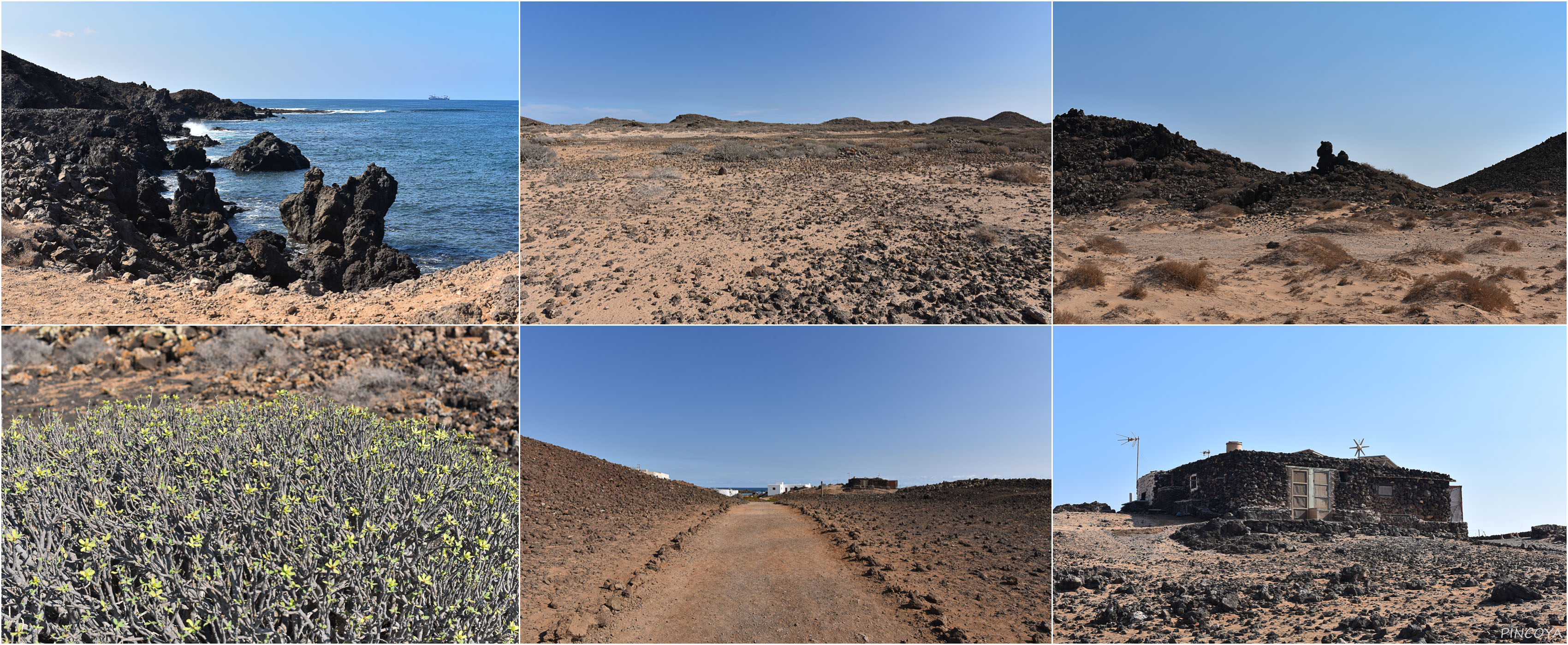 „Es gibt auch »grün« auf der Isla de Lobos.“