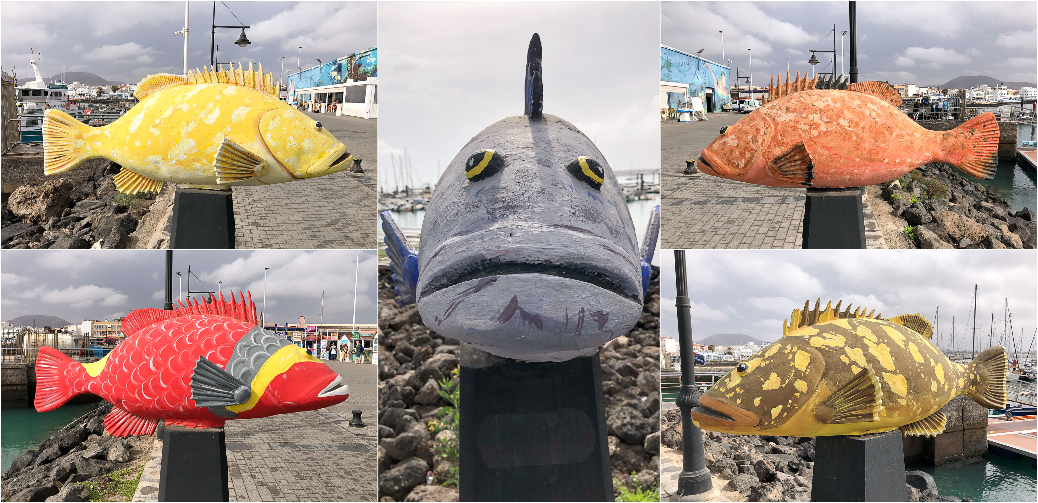 „Fischkunst im Hafen.“