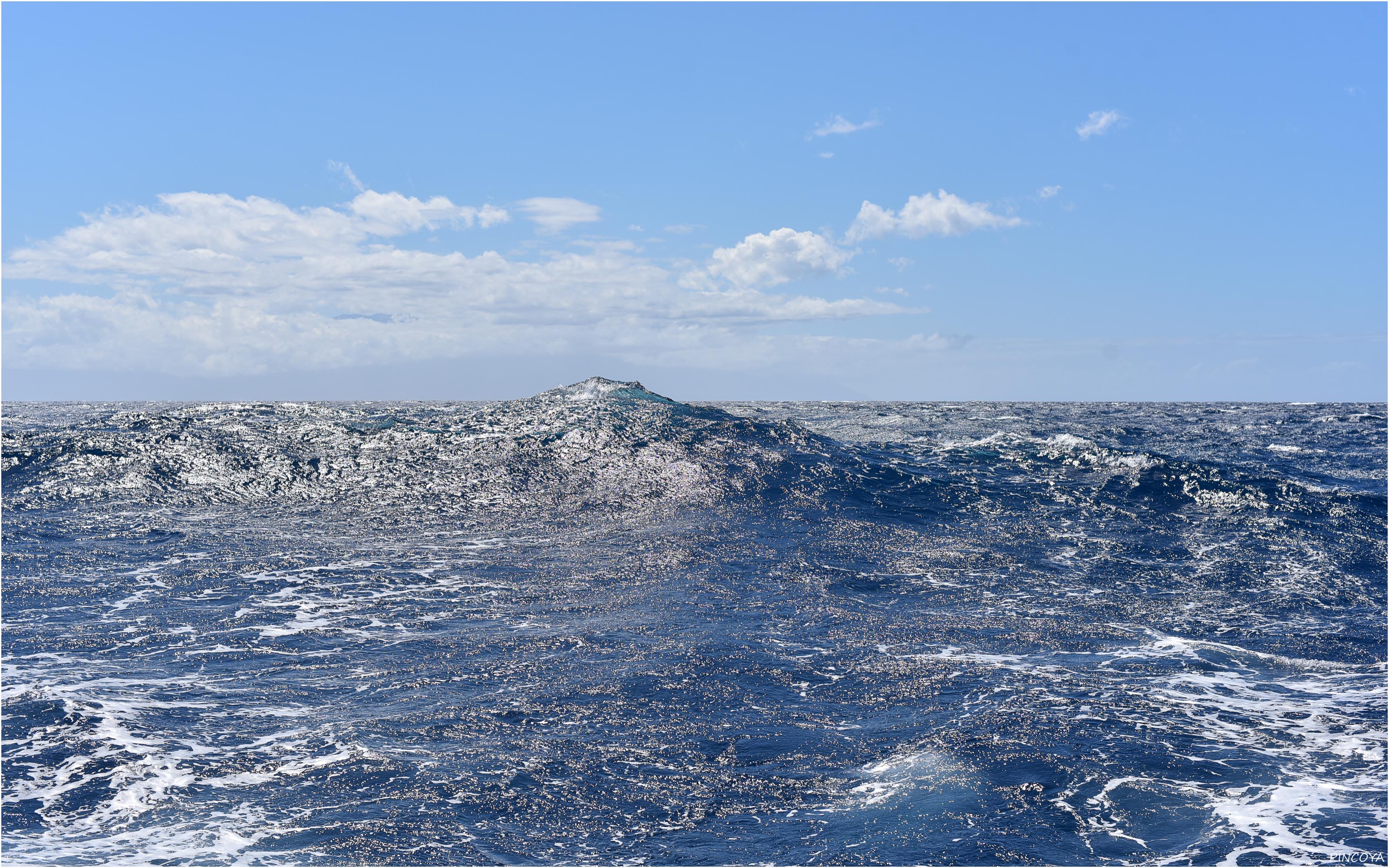 „Welle mit Windkräusel“