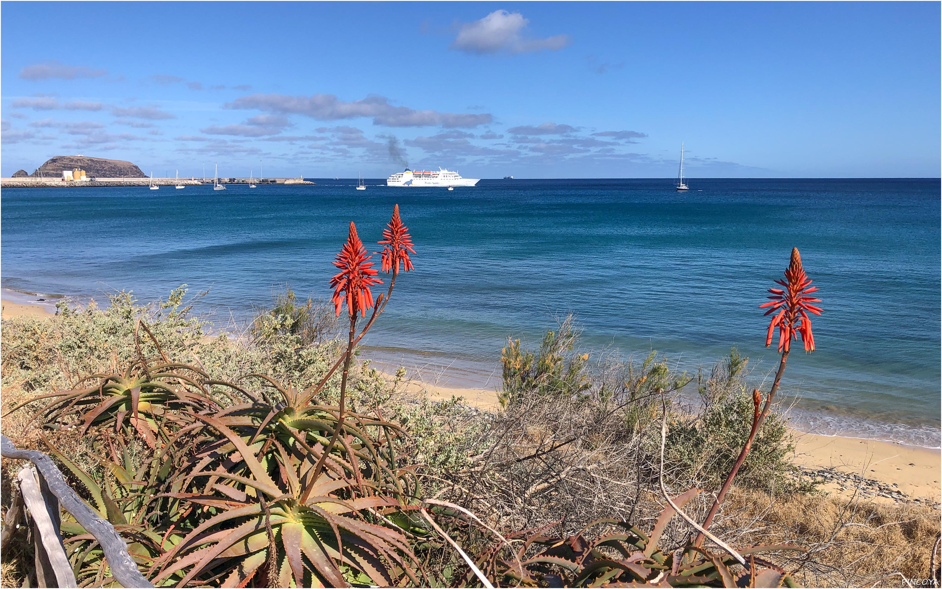 „Frühling auf Porto Santo“