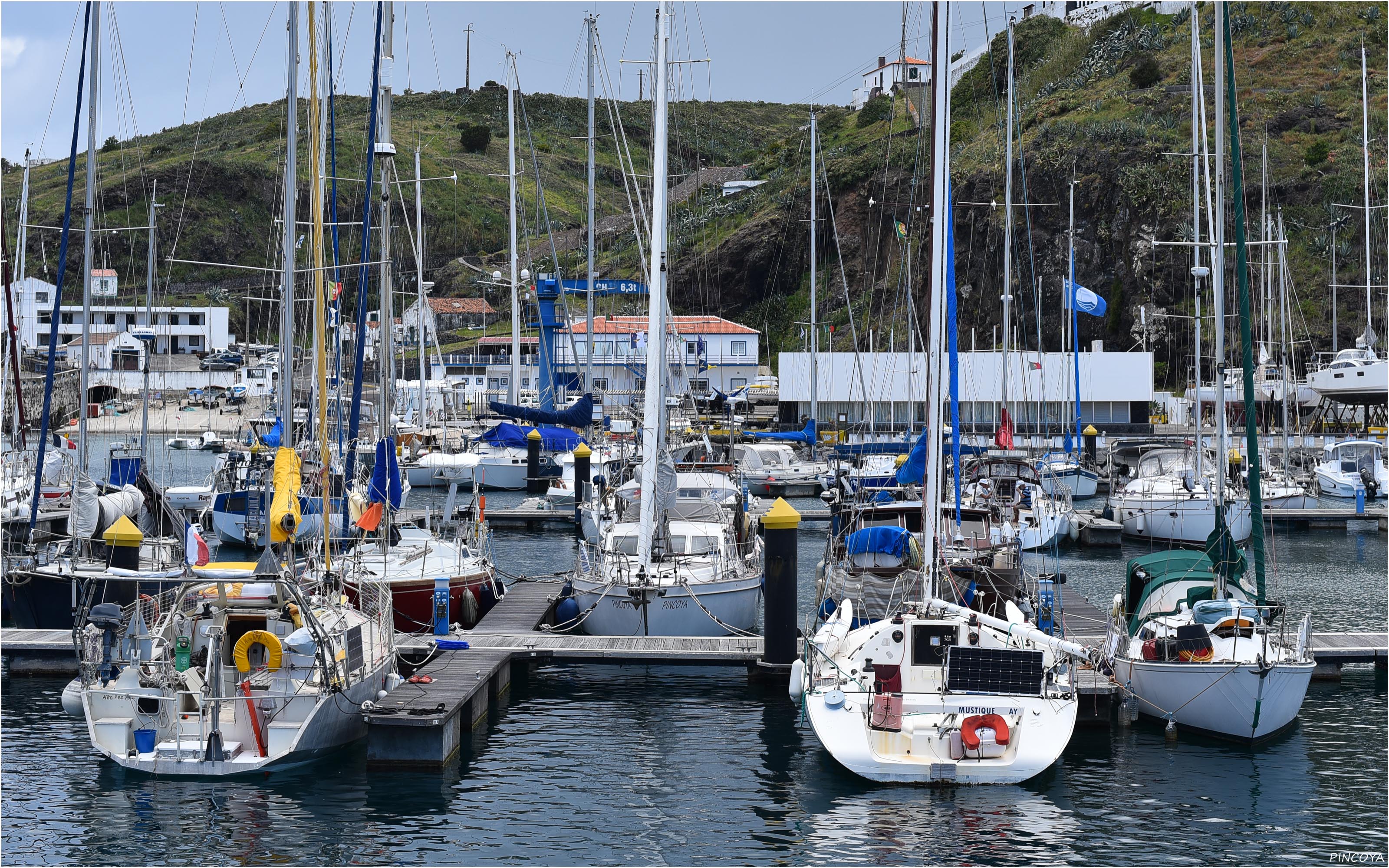 „Die PINCOYA in der Marina Vila do Porto“