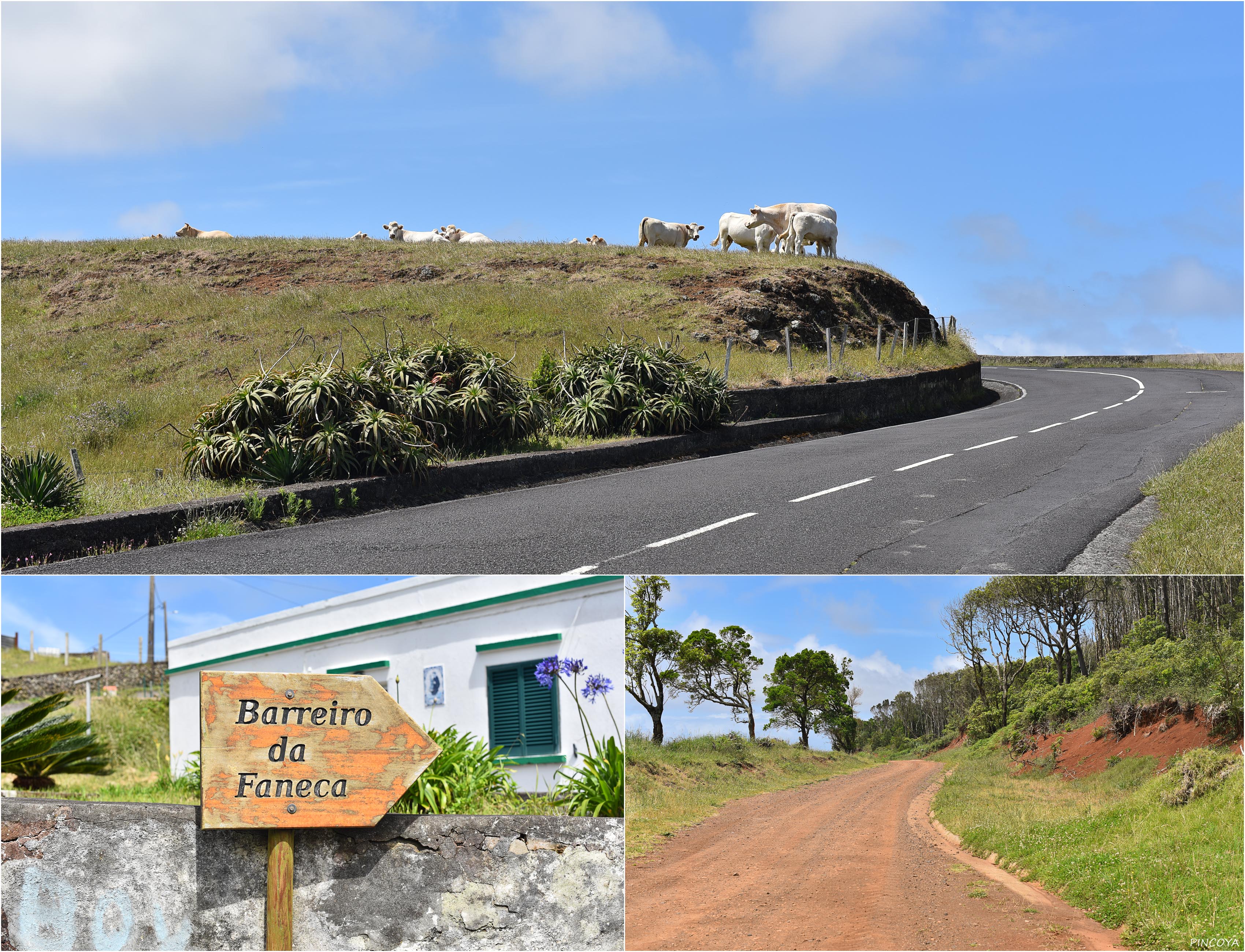 „Die Straße nach Barreiro da Faneca“