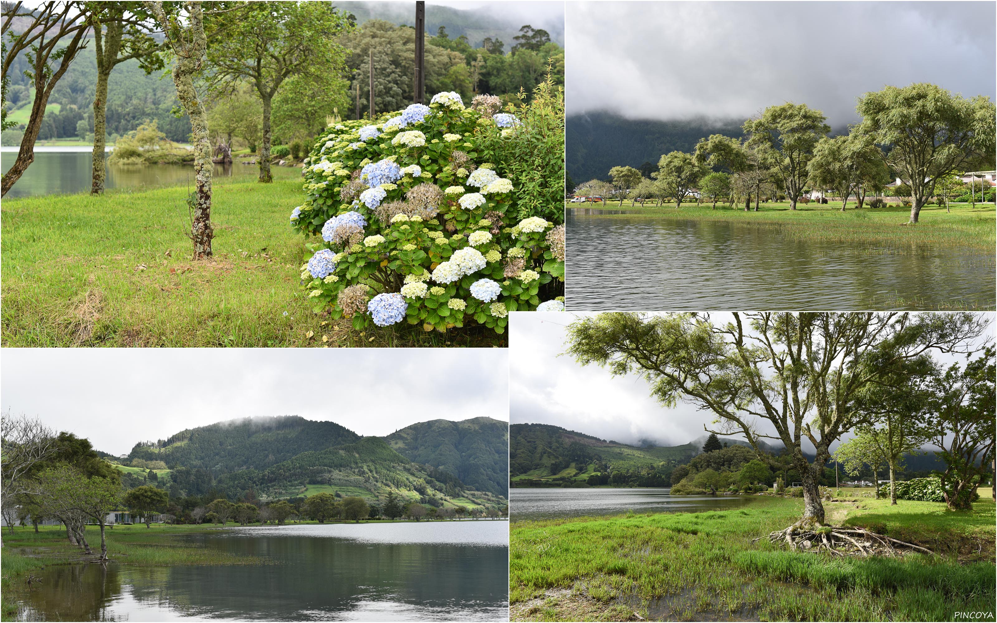 „An der Lagoa Azul I“