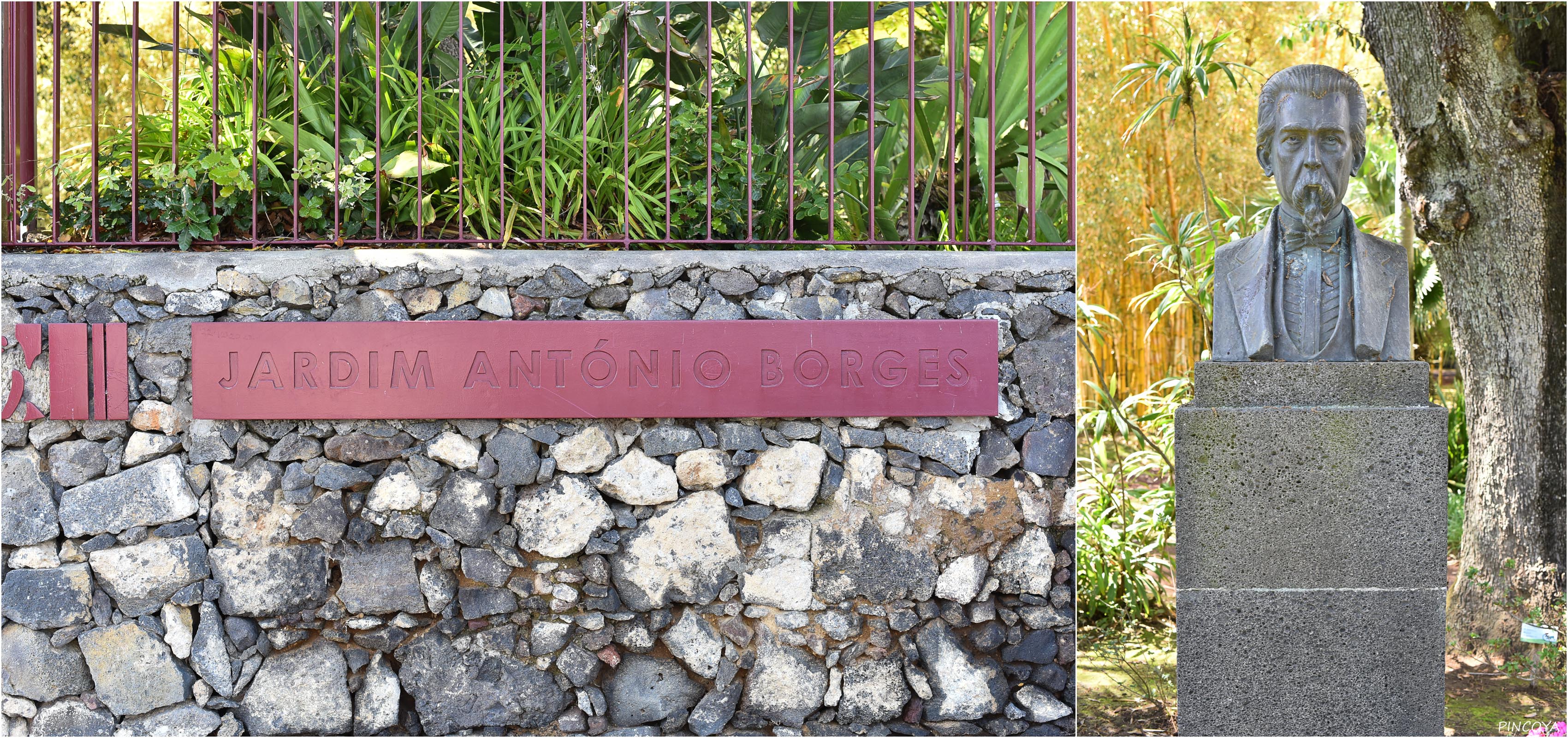 „Senhor António Borges und sein alter botanischer Garten“