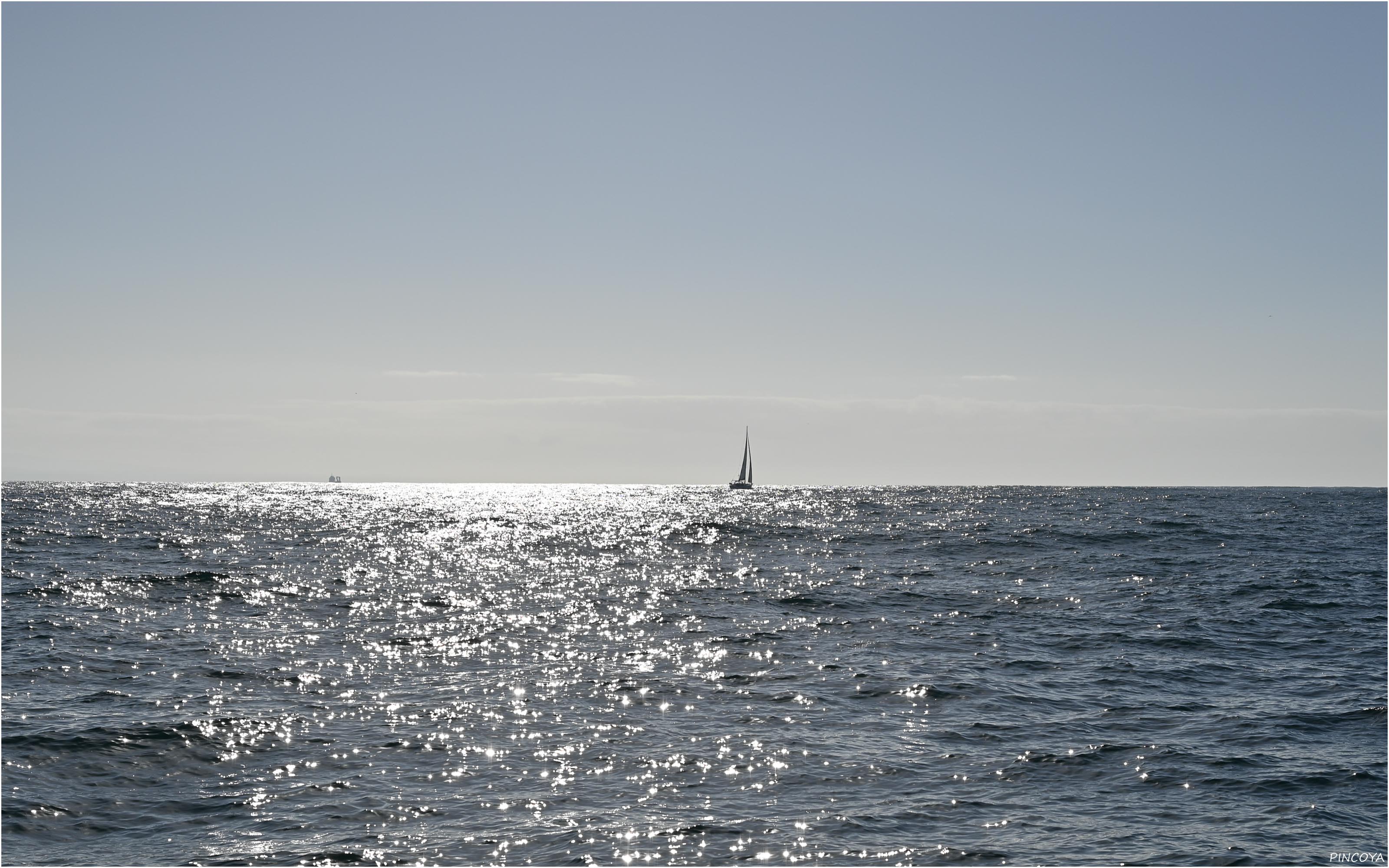 „Endlich mal wieder segeln.“