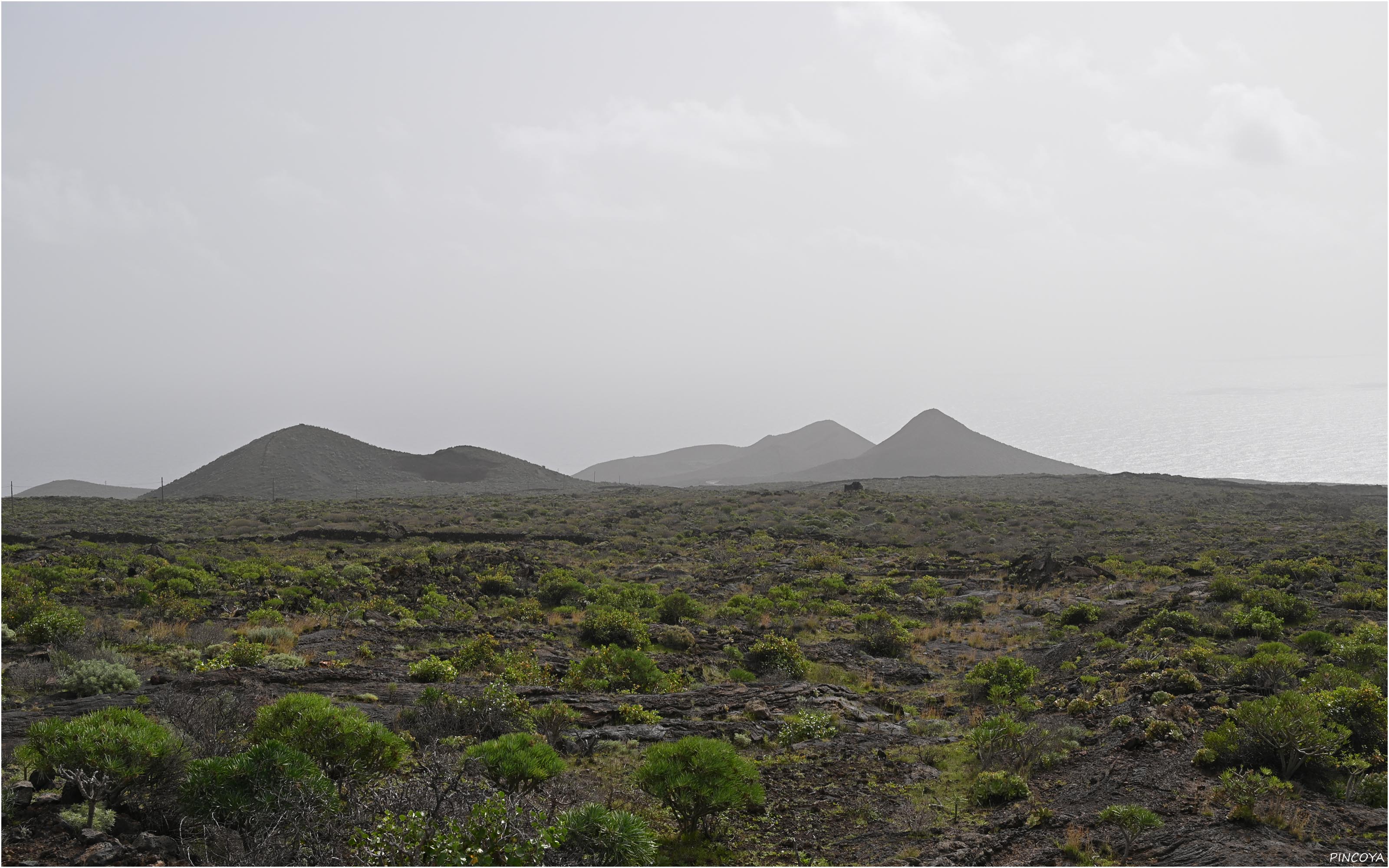 „Die Lava-Landschaft hinter El Pinar“