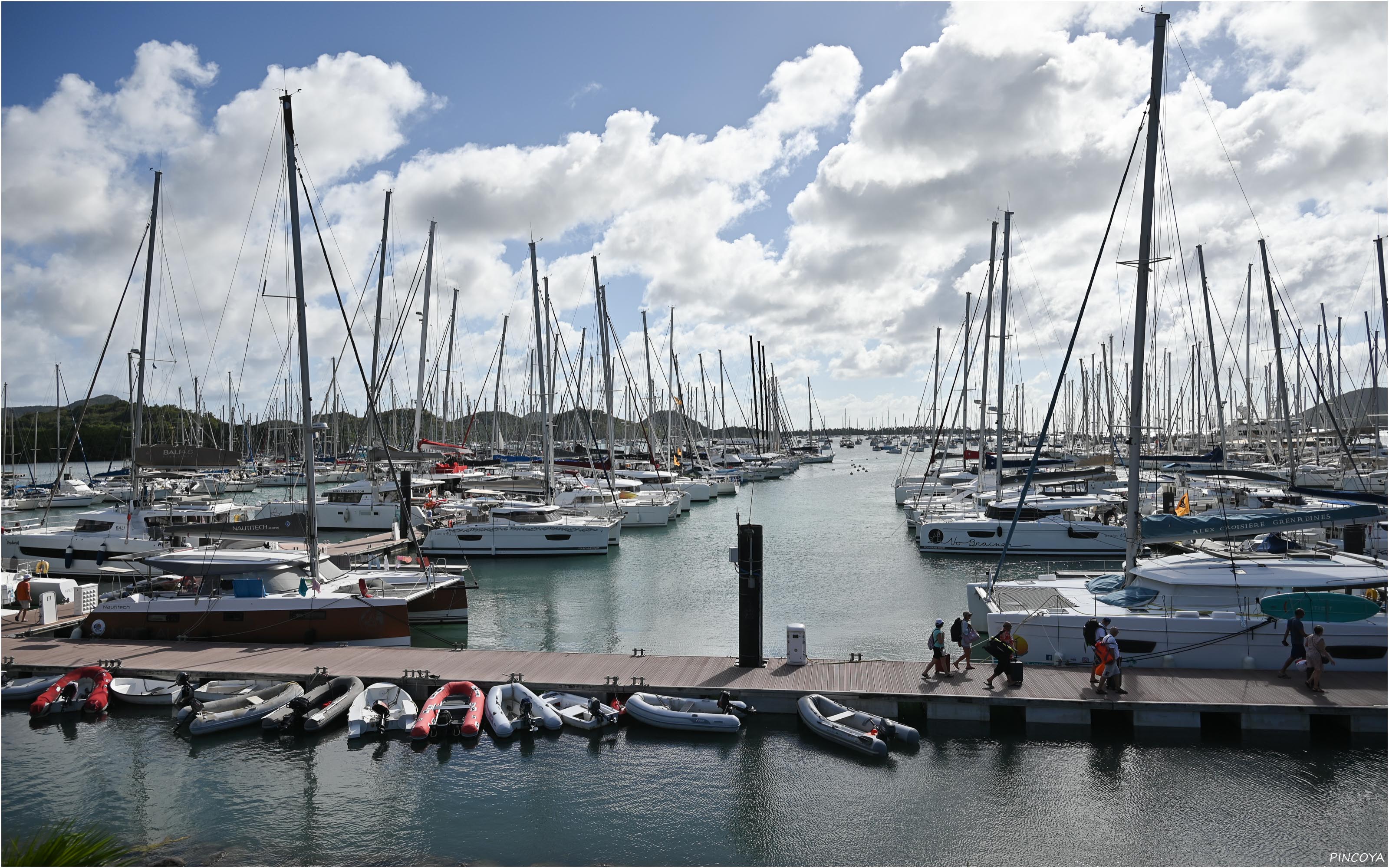 „Die Marina von Le Marin. In weiten Teilen fest in der Hand der Vercharterter. “