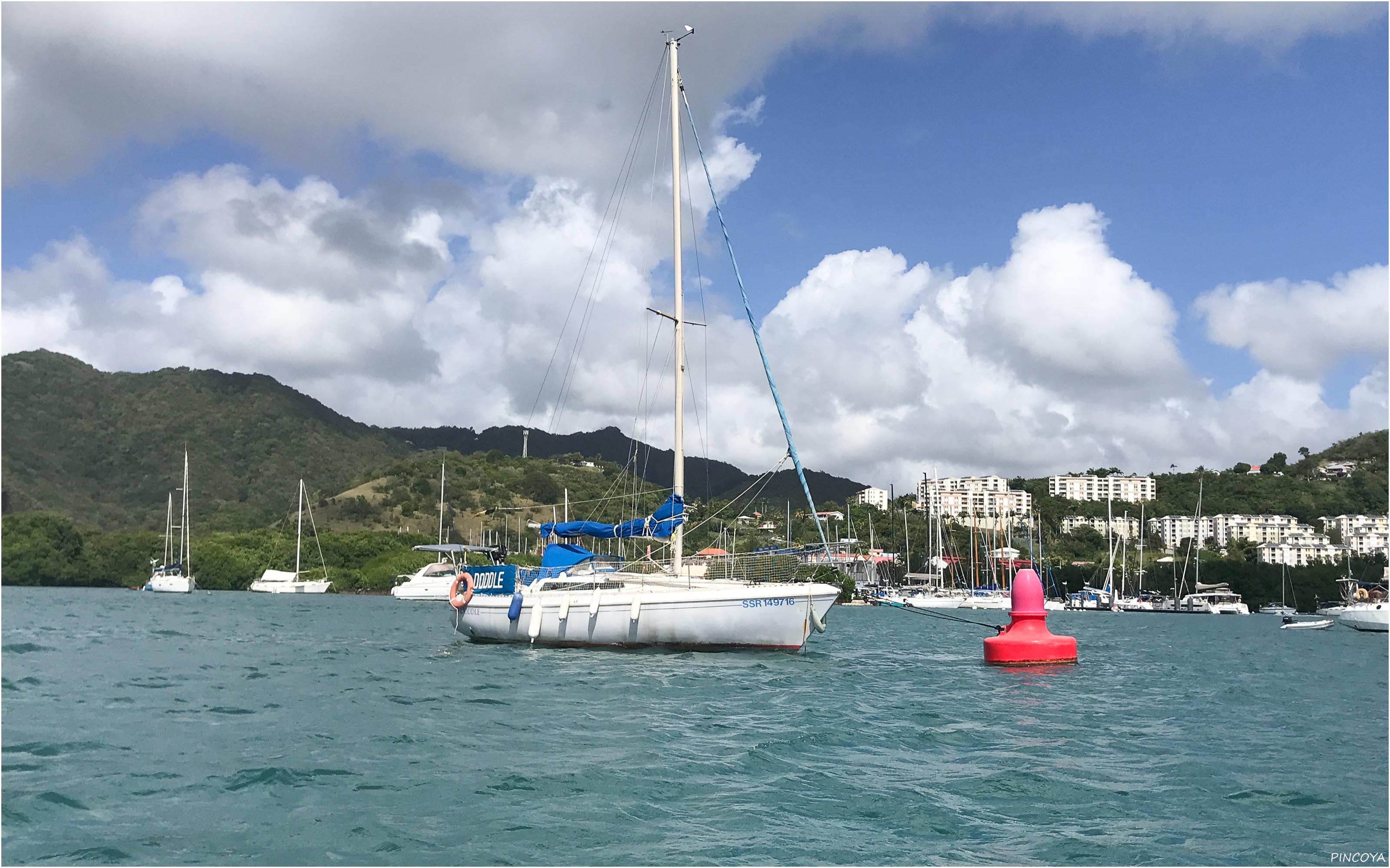 „Manch einer findet die großen roten Moorings sicherer. “