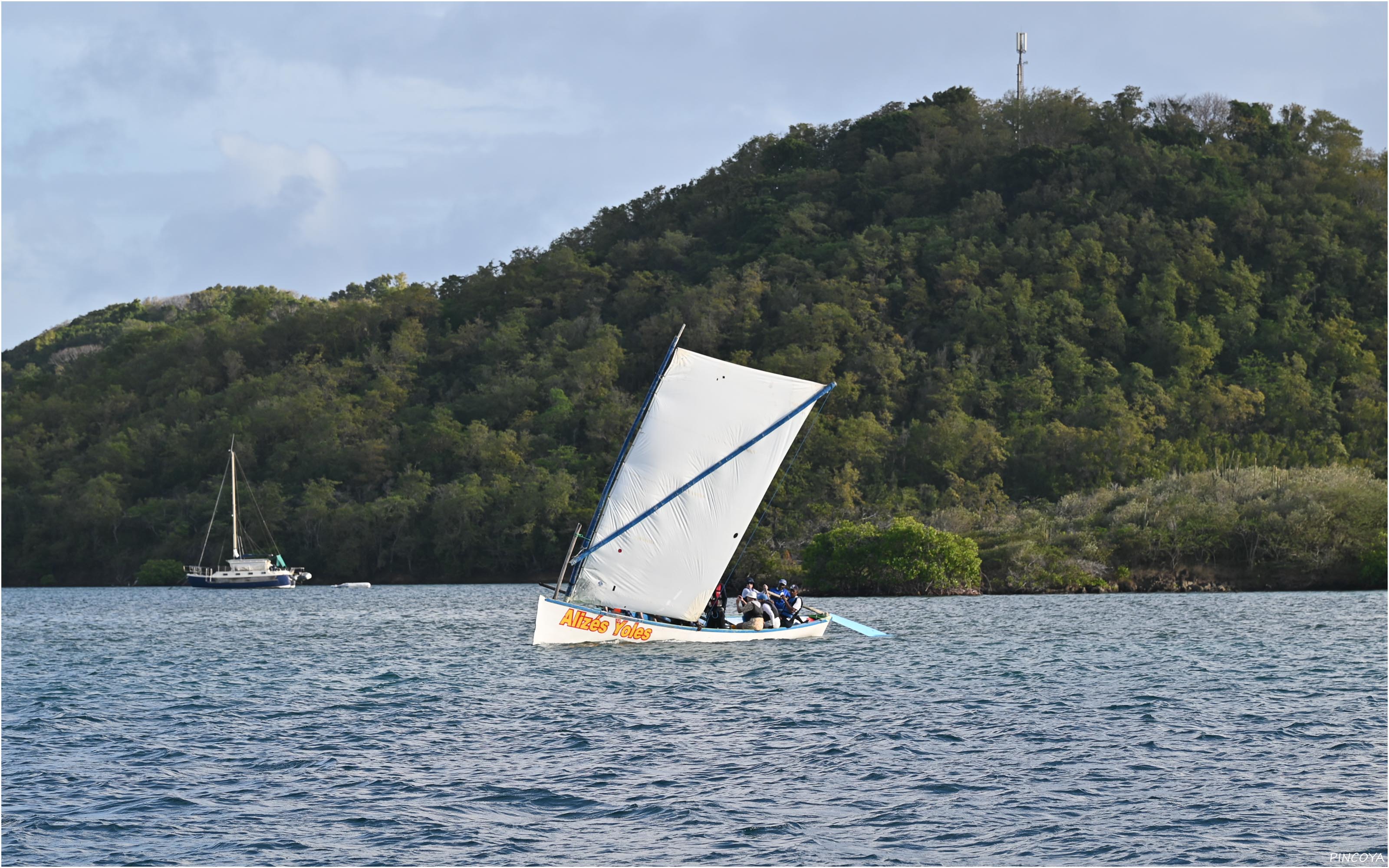 „Traditionell wird hier mit einem Spannbettlaken gesegelt. Die wurden übrigens auf Martinique erfunden und nicht vom Dänischen Bettenlager!“