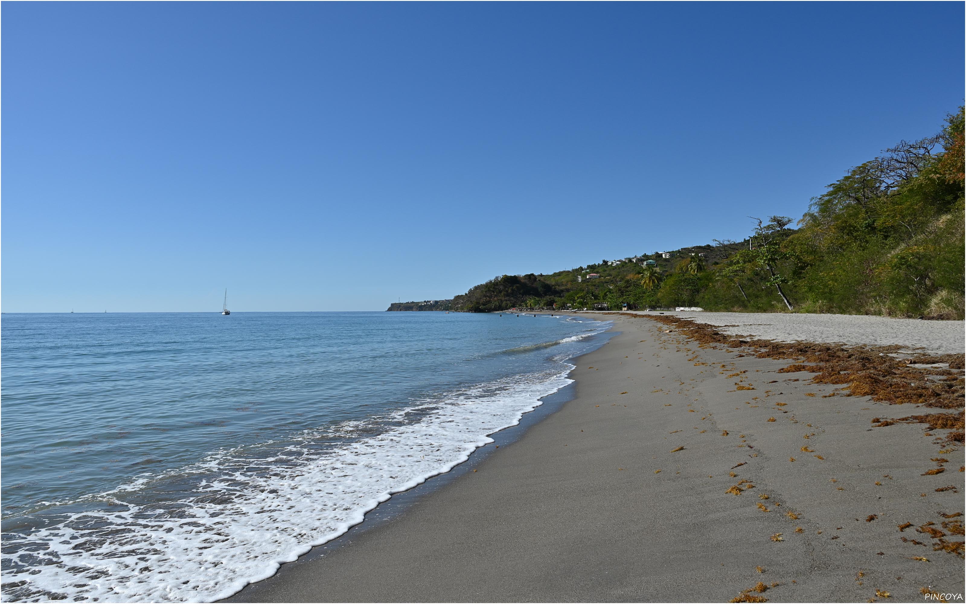 „Nur ein Kanadier ist noch da, aber am anderen Ende des Strandes.“