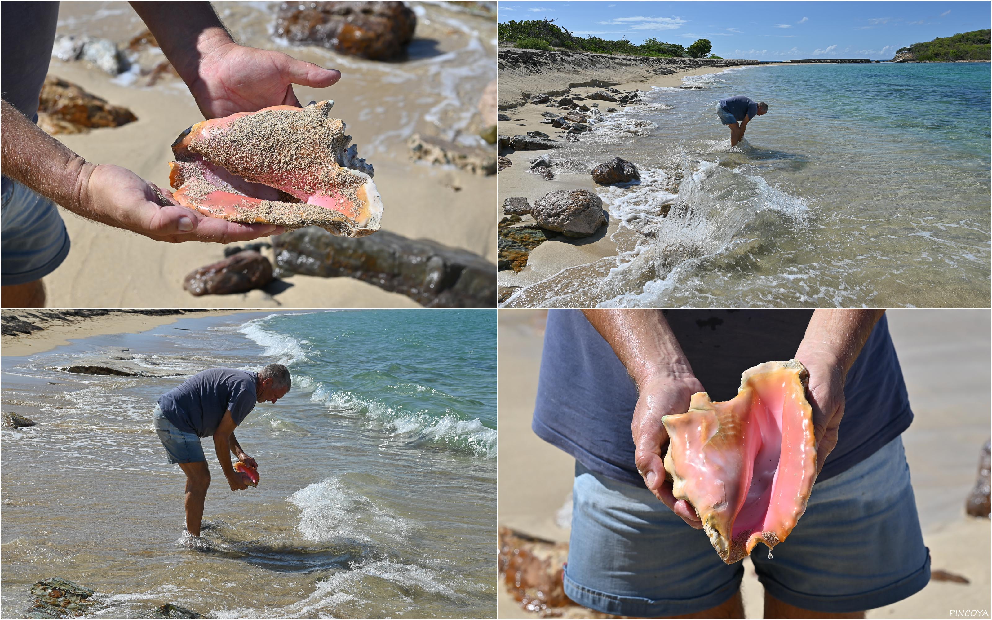 „La Conch!“