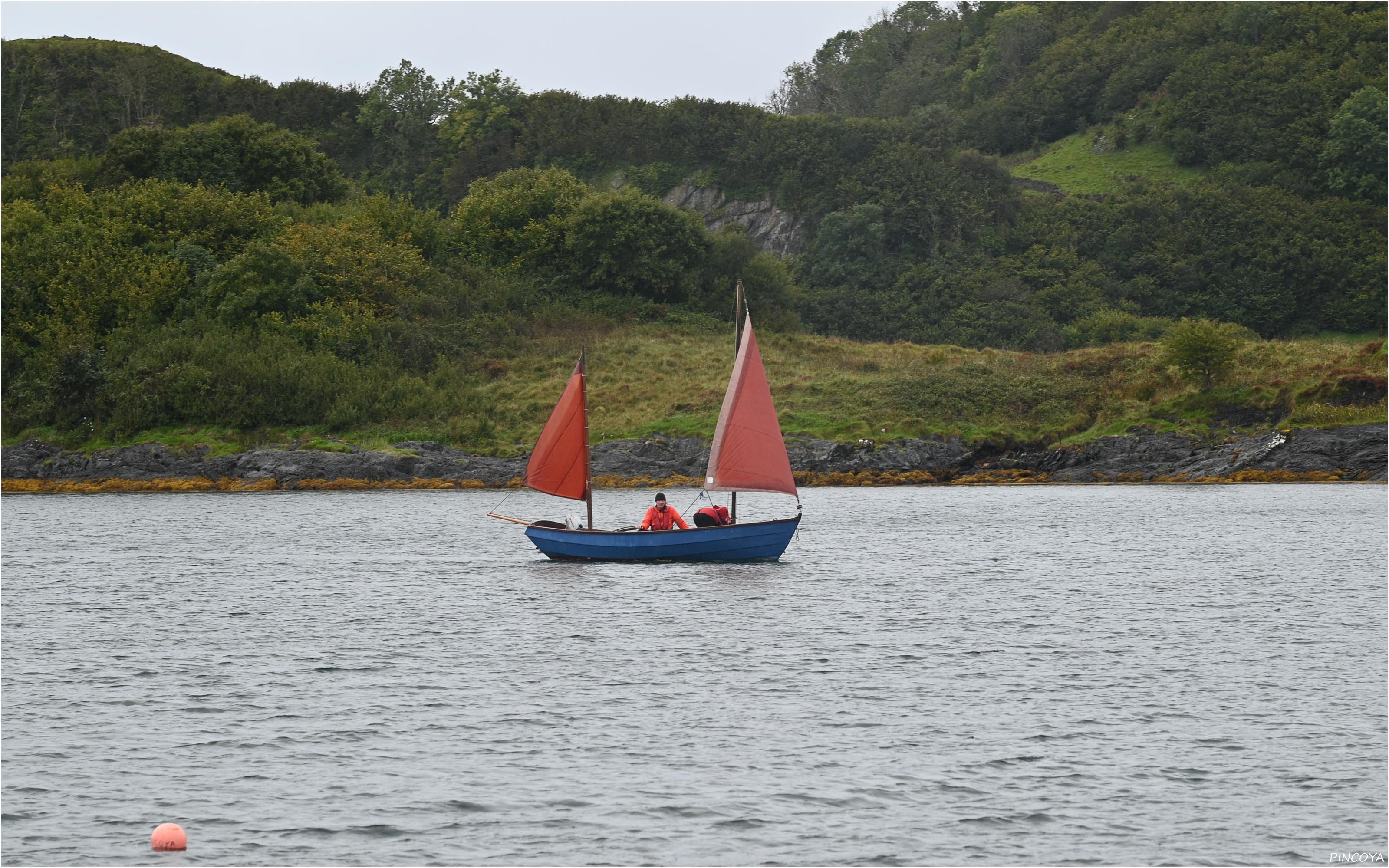 „... und diese beiden. Happy Scottish day sailing!“