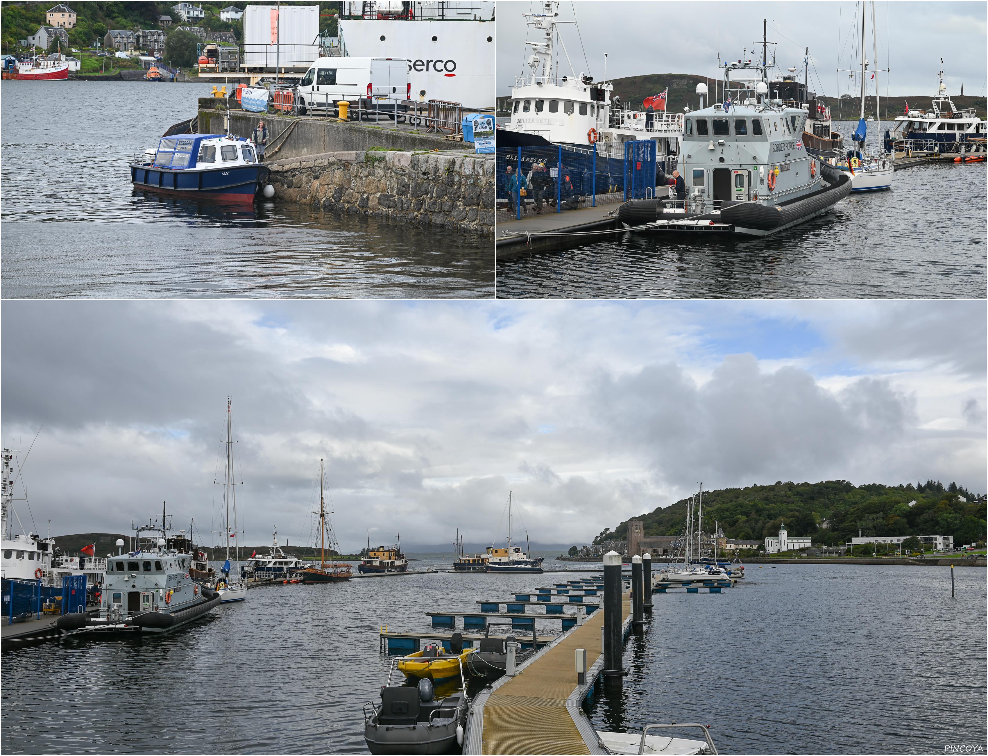 „Die Transit Marina in Oban und da ist sie wieder, die Border Force 😂“