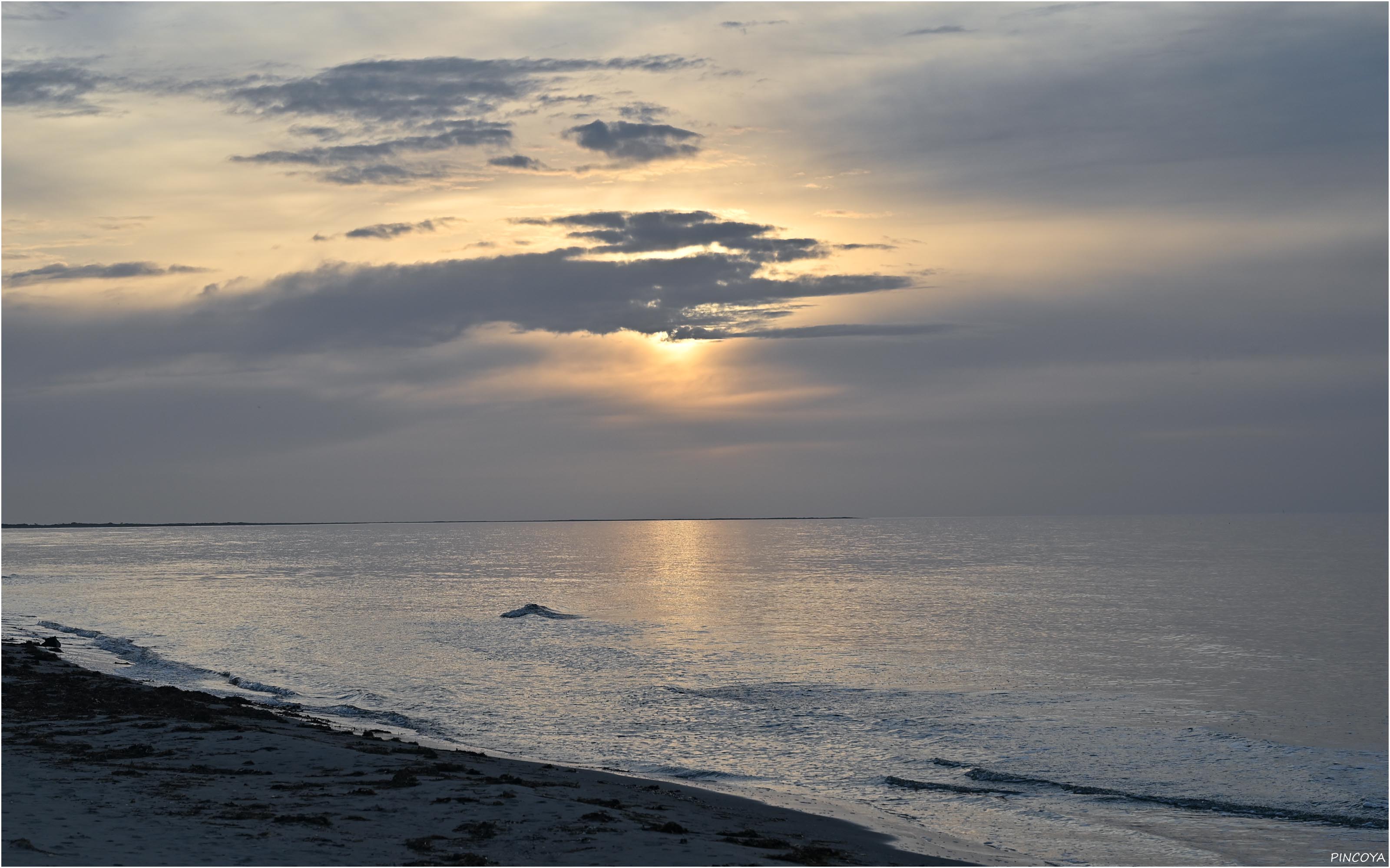 „Am Strand auf Læsø II“